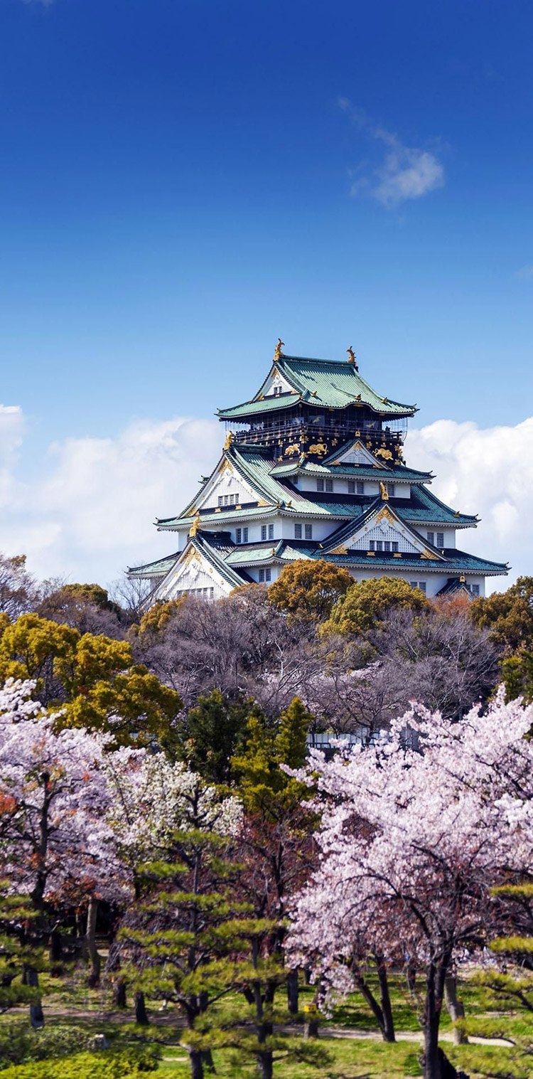 http://amongraf.ro/19-reasons-to-love-japan-an-unforgettable-travel-destination/14/